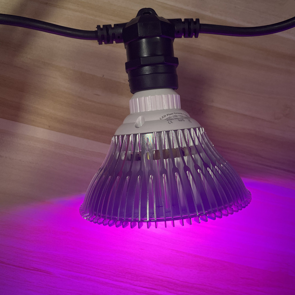 10M Cable LED String Commercia - đánh giá và giá Lighting Decoration Ideas